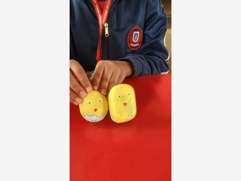 Fostering Creativity Across Grades I to X